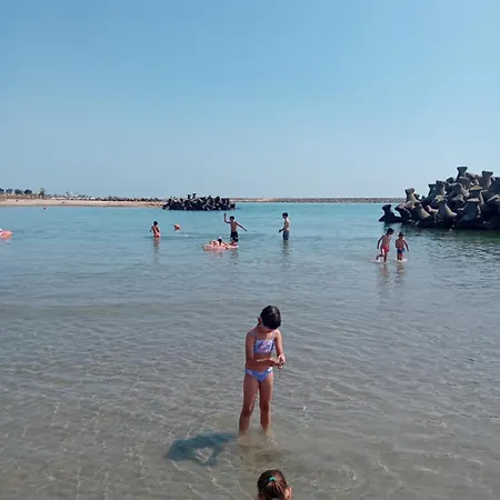 Bosco Neptun